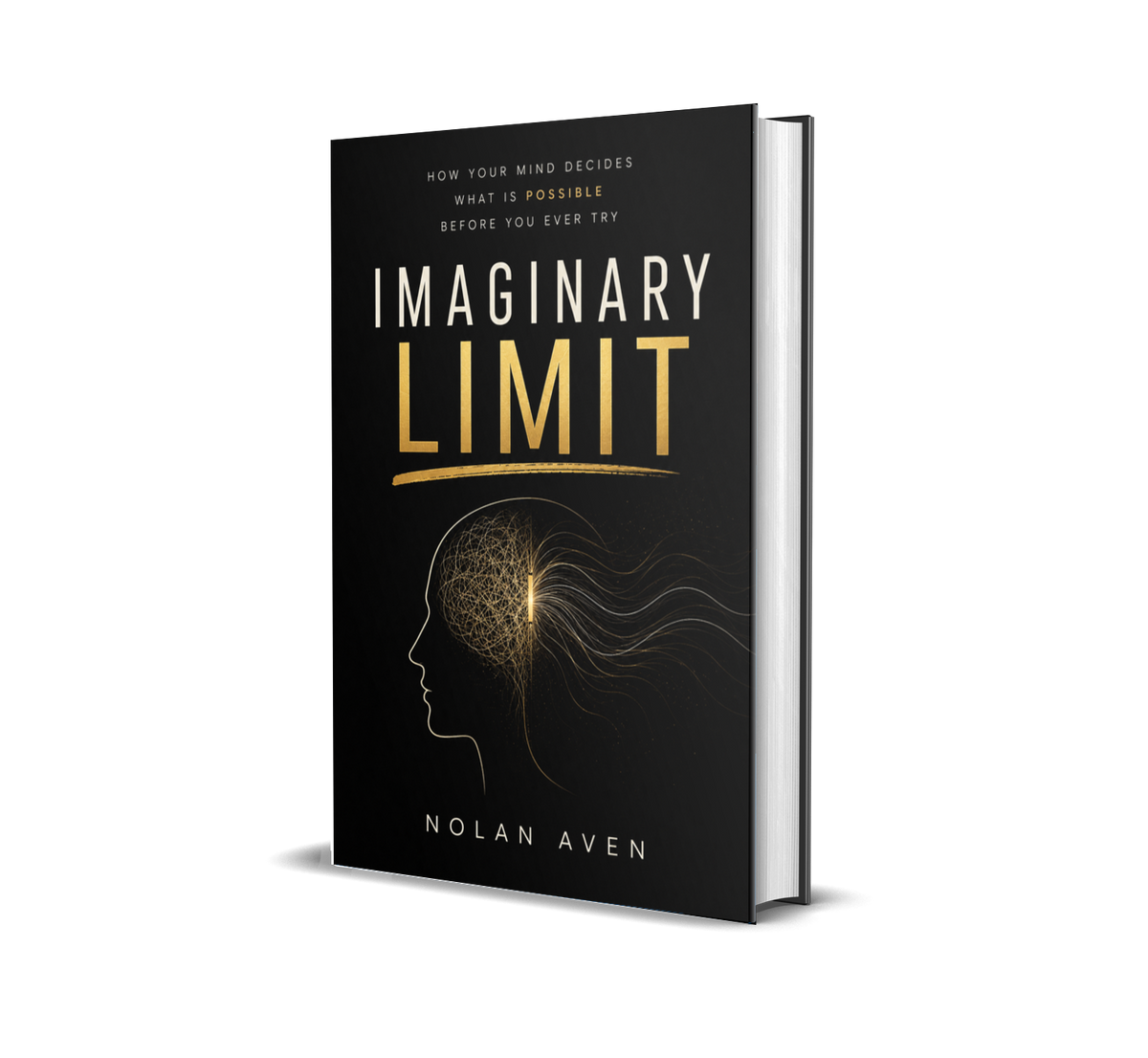 Imaginary Limit by Nolan Aven